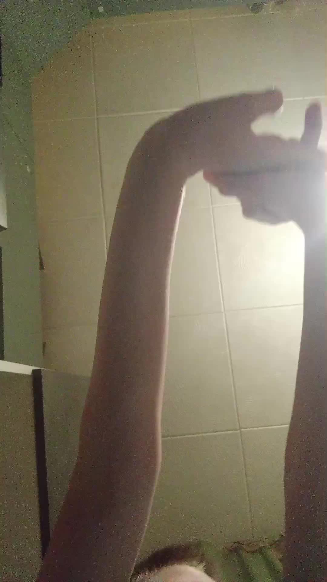 сегодня