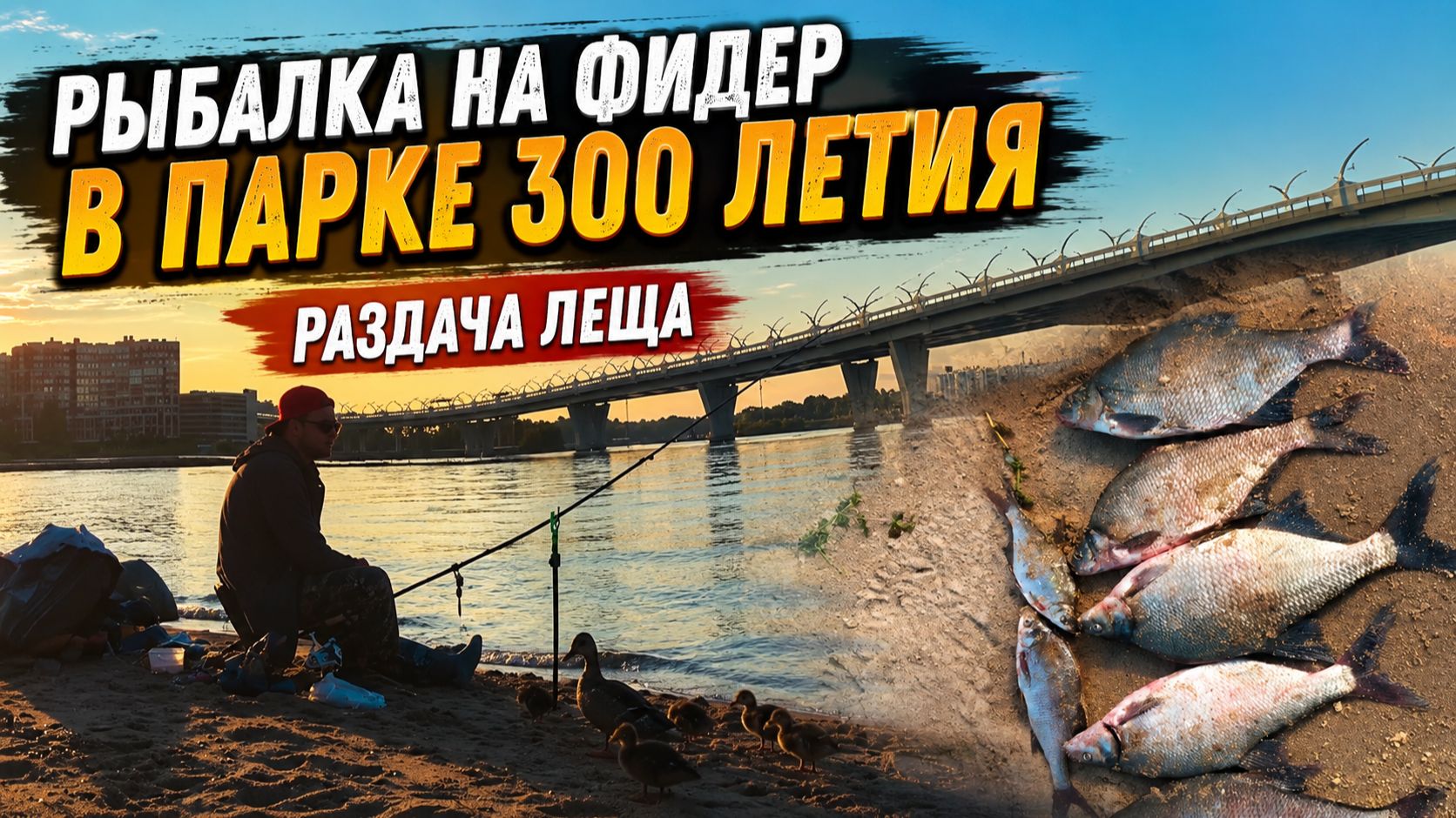 Рыбалка на фидер в Парке 300-летия — раздача леща. Август