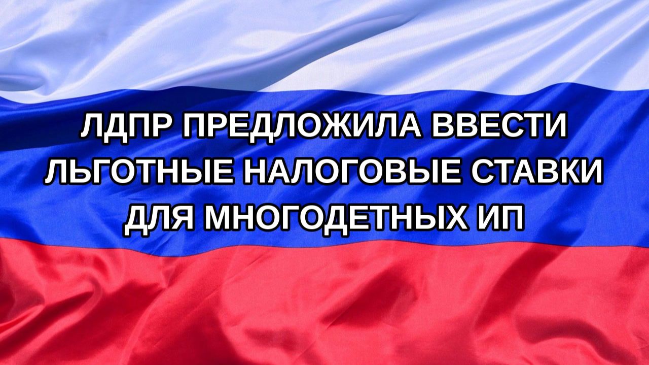 |Н. РФ| ЛДПР предложила ввести льготные налоговые ставки для многодетных ИП