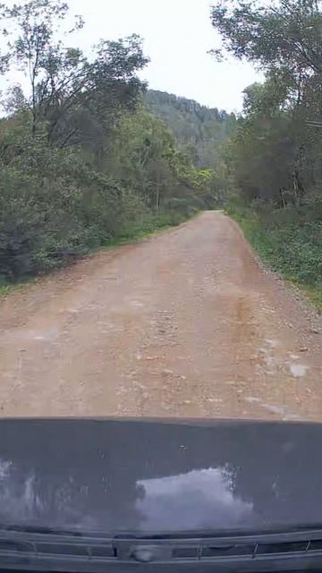 Майзас-Ортон