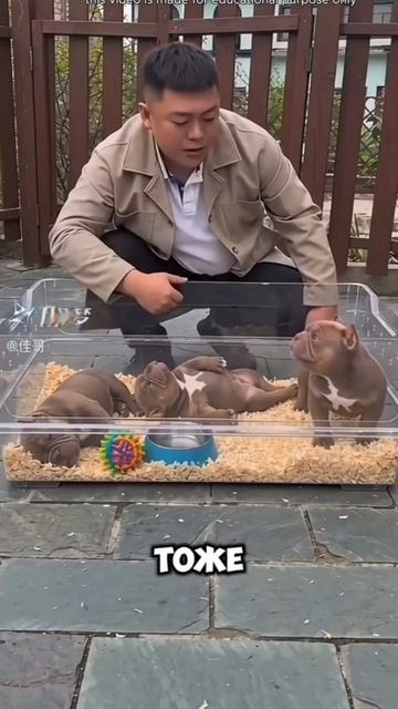 маююю🤗
