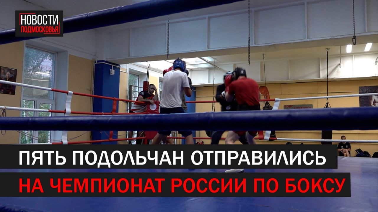 Пятеро подольчан отправились на чеемпионат России по боксу