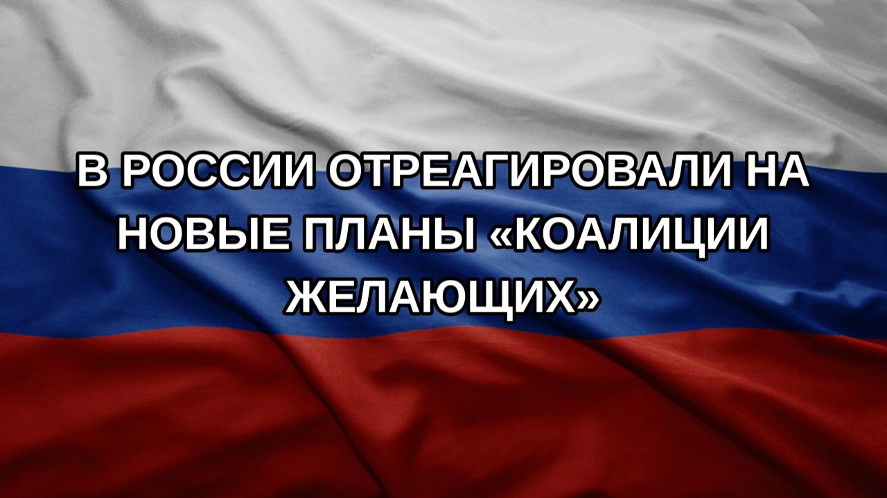В России отреагировали на новые планы «коалиции желающих»