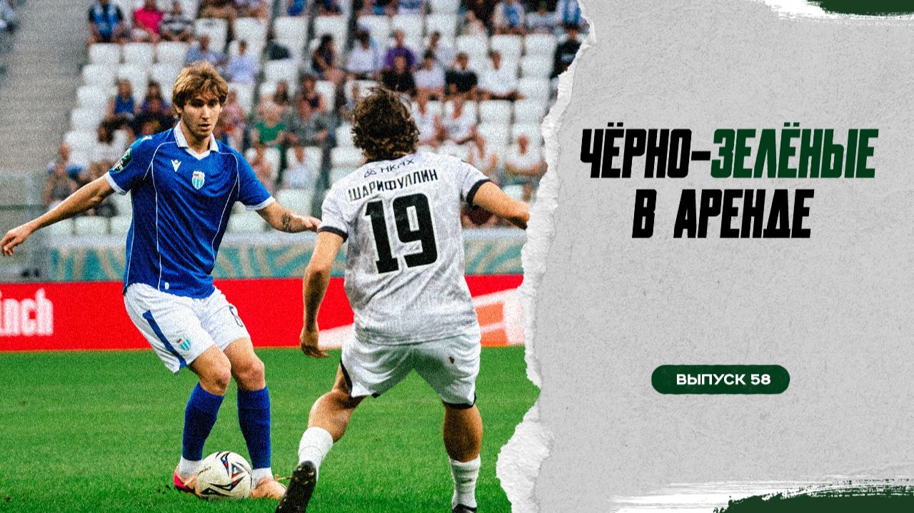 Чёрно-зелёные в аренде 58