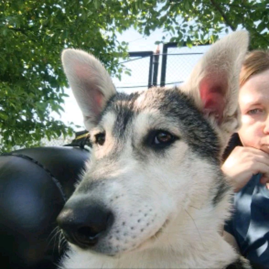 ми гуляем