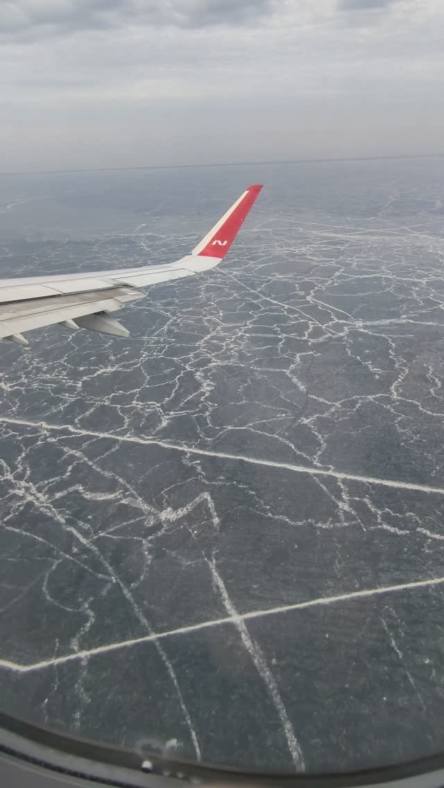Красота