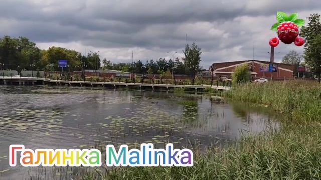 Тревожная мать /Не загибается и ладно /Big Big Family In The USA Обзор