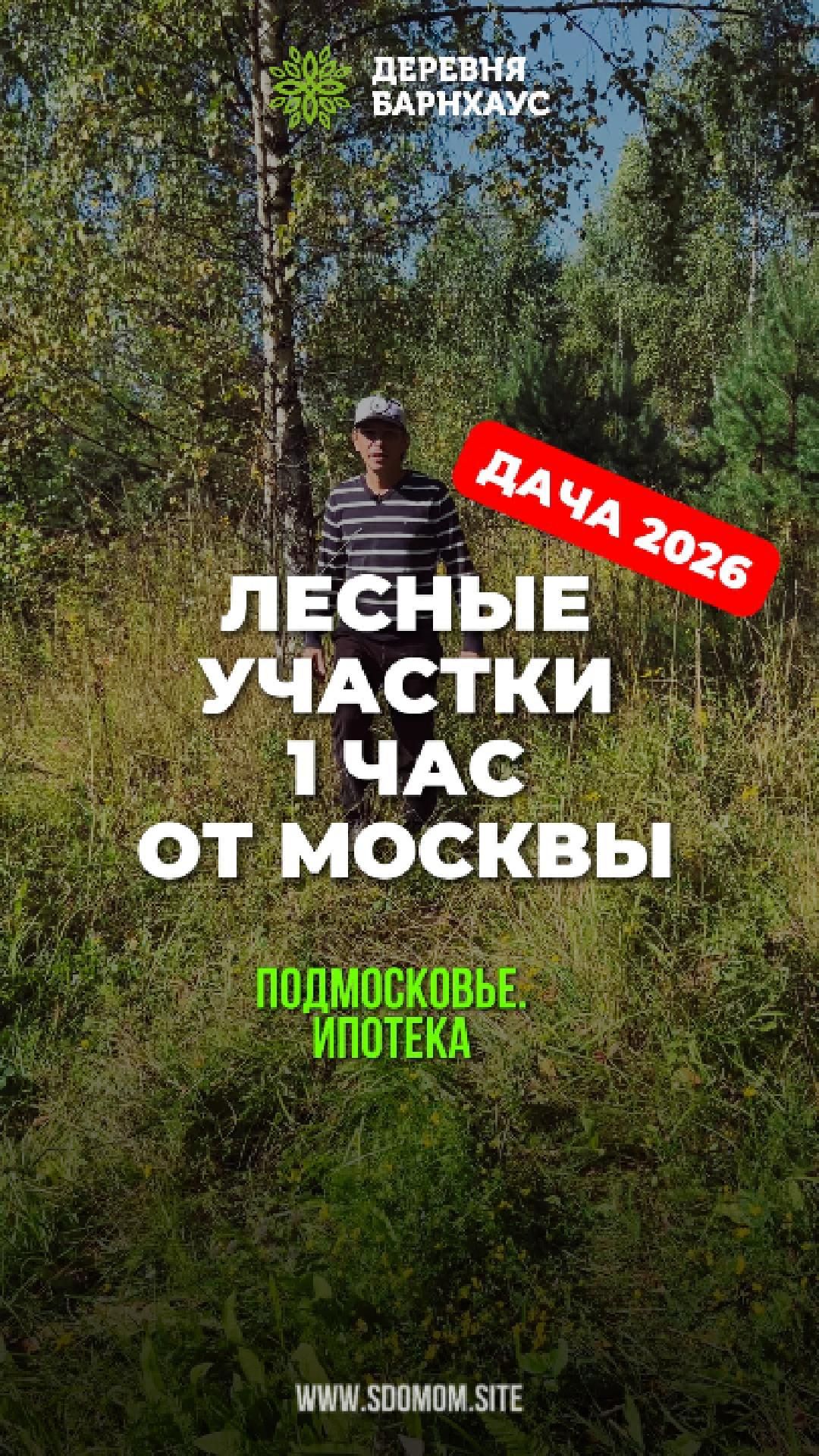 Лесные участки