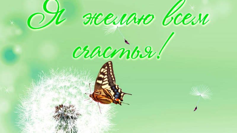 Молитва за мир во всем мире! Live 26.08.2026