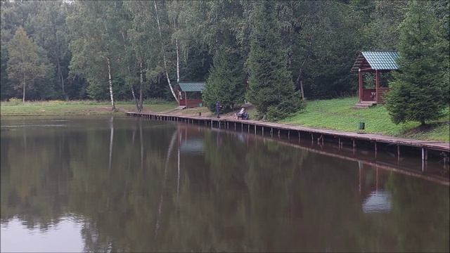 Утренний обзор с нижнего водоёма. Клёвое место, Лосиный остров.