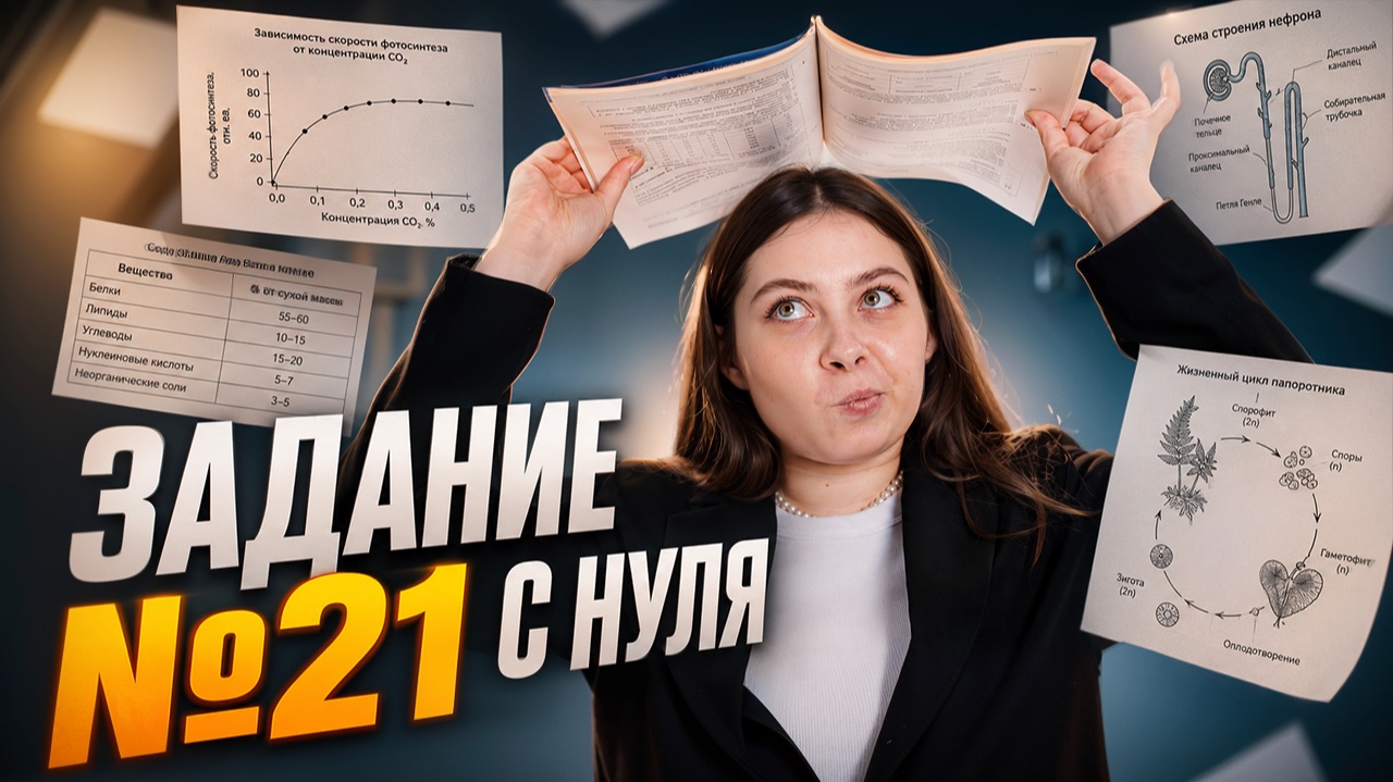 21 задание с НУЛЯ | ЕГЭ биология | Кристина Мельникова | Умскул