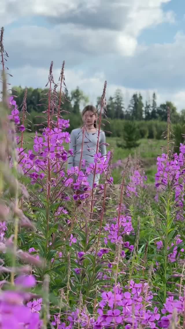 Ода Иван-чаю
