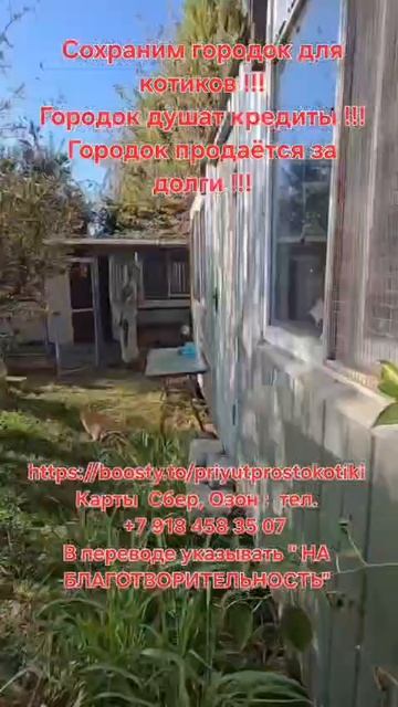 Сохраним городок!