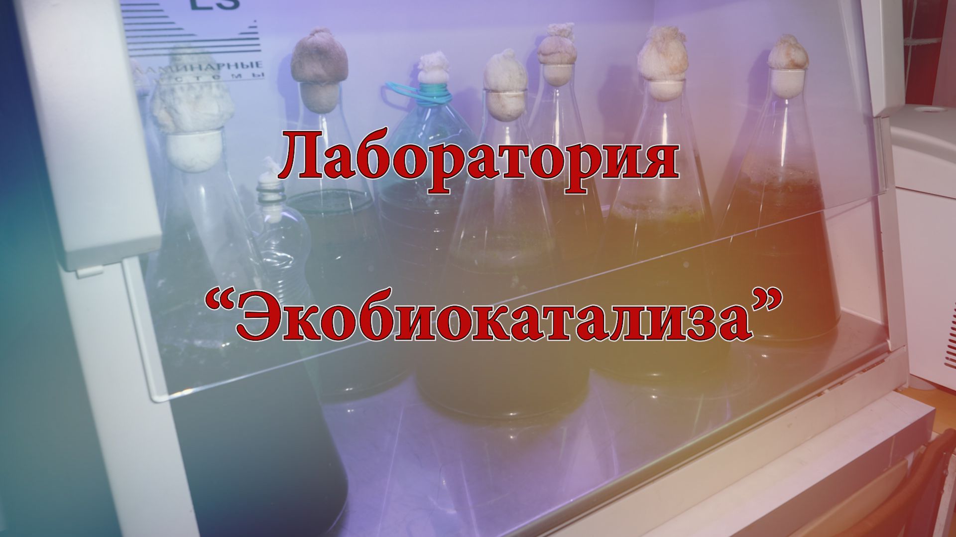 Лаборатория 
