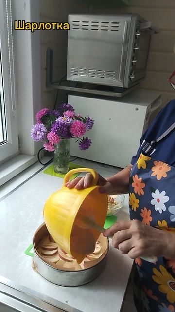 Шарлотка