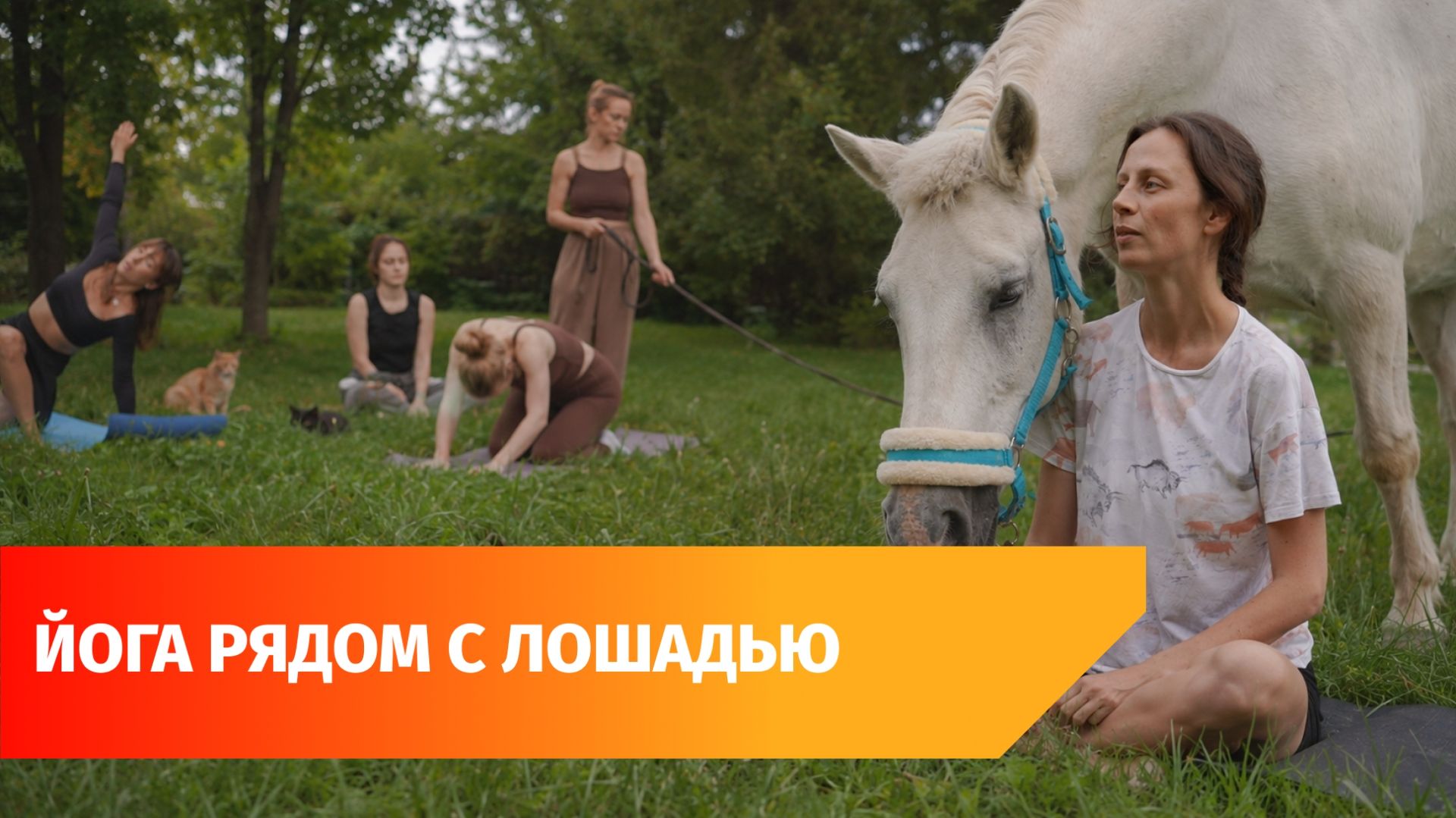 Уфе занятия по йоге проходят с лошадьми. Как это выглядит?