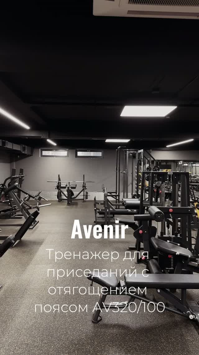 Тренажер для приседаний с отягощением поясом AV320/100