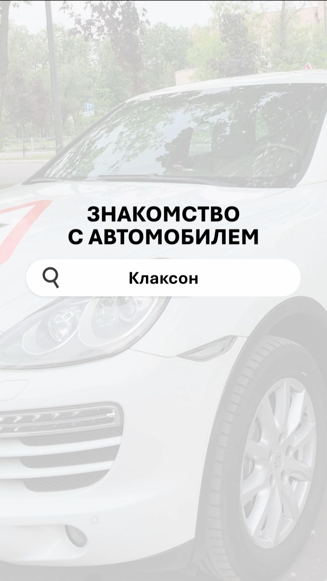Клаксон — кнопка безопасности. Что нужно знать?