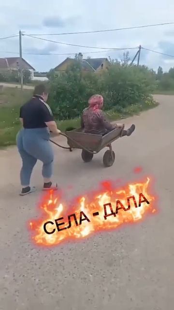 видео из тт