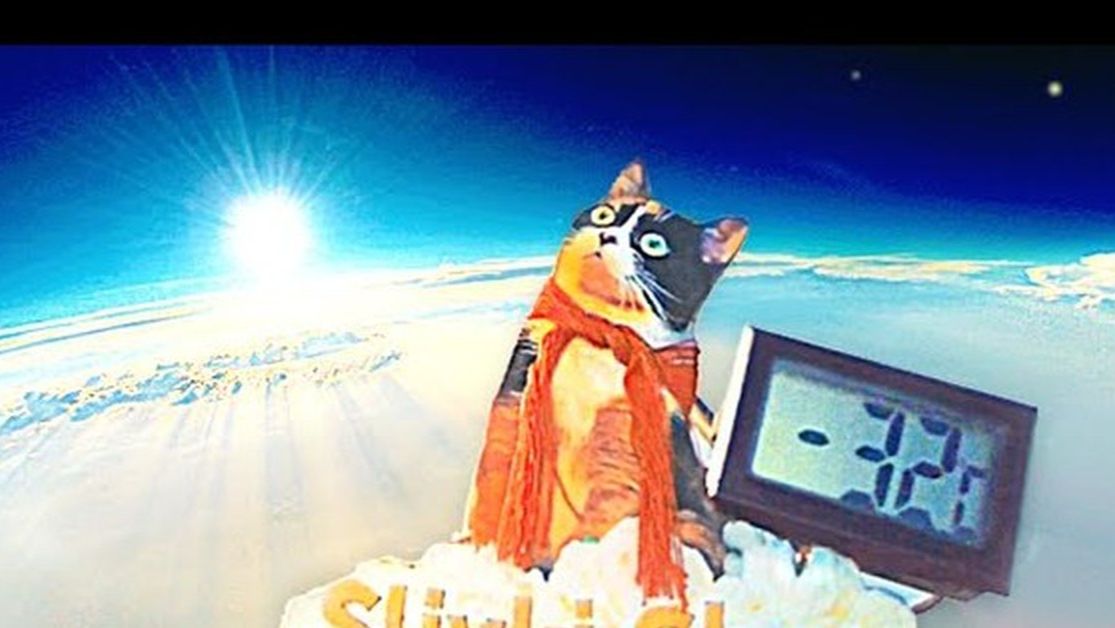 КУКИ В КОСМОСЕ