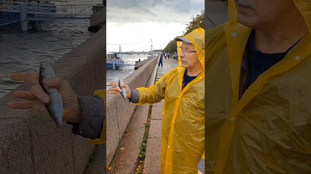 Прогулка от крейсера Аврора до Троицкого моста