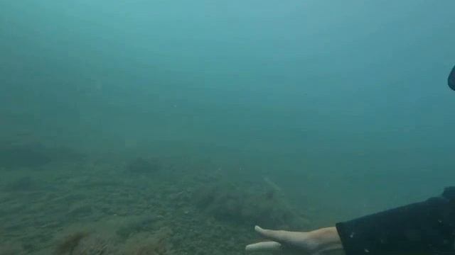 1000472402.mp4