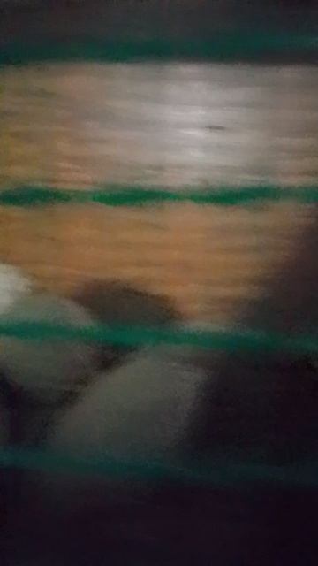 26-08-2026