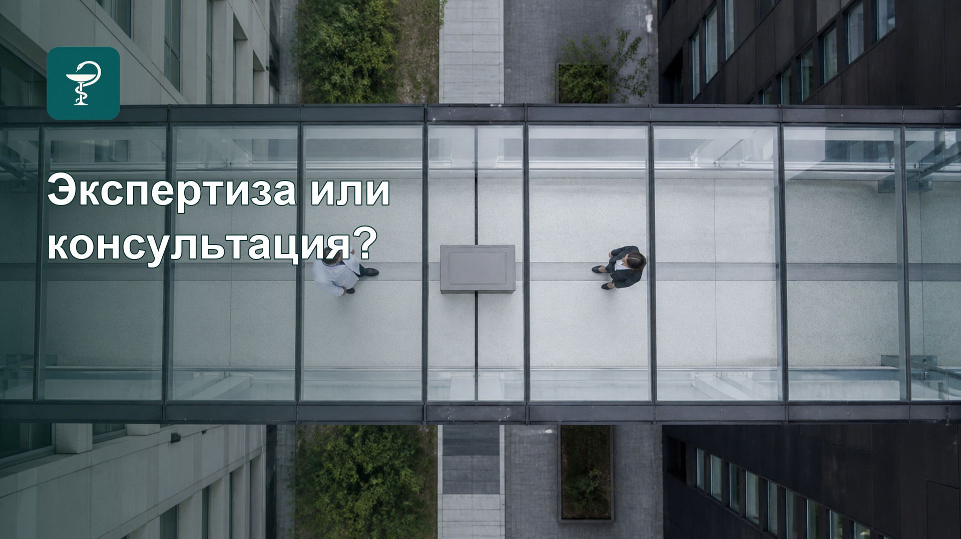 Судебная психиатрия: экспертиза или обычная консультация