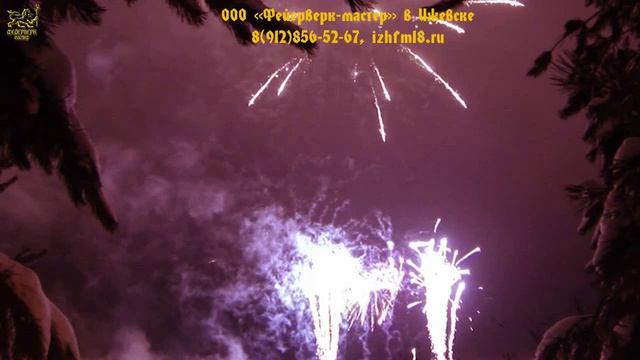 №14 2014 Новогодний корпоратив в Шале