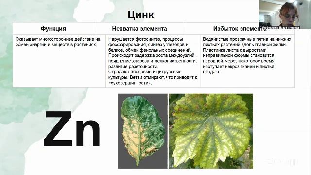 Красивая дача. 26.8 10:00