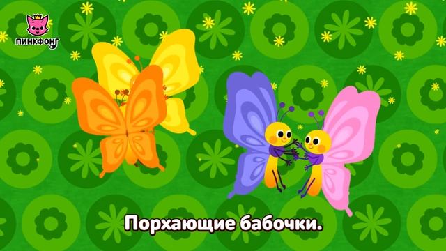 Порхающие бабочки  Песни про насекомых  Пинкфонг песни для детей