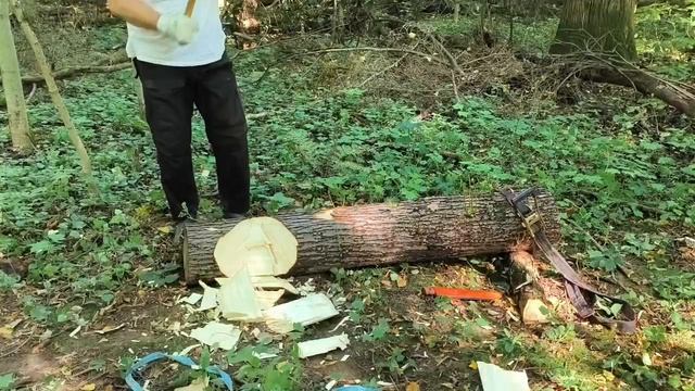 23.08.26 ПОРУБАС #62 (8)