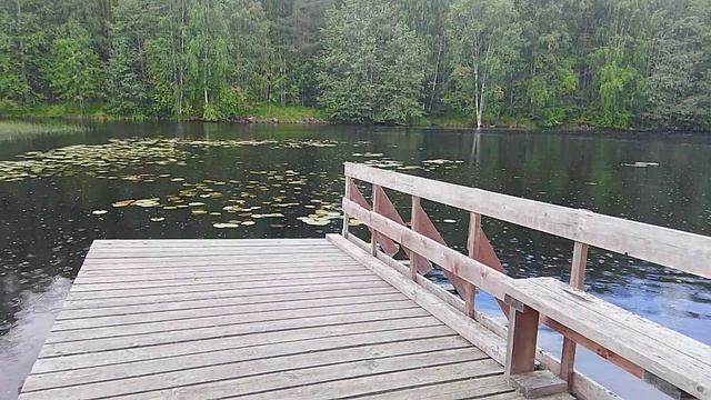 Медвежьегорский район, Падун.