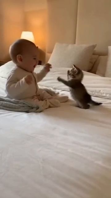 Ничего милее вы сегодня не увидите 🥰