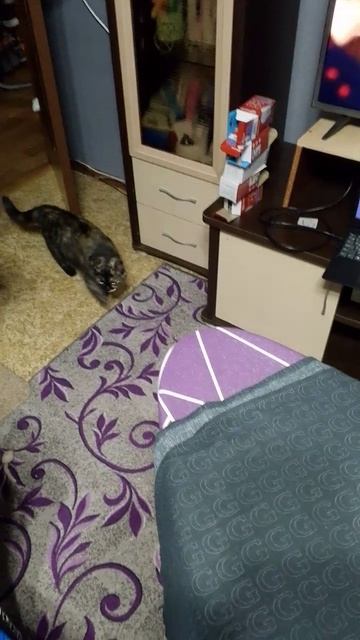 Наконец-то теперь можно смотреть на большом экране, после переезда нашли шнур для ноутбука
