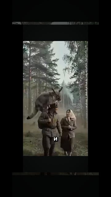 Черемша прокладывает маршрут лучше навигатора🐰🦁