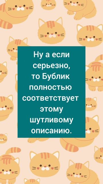 Бублик ищет дом! #Москва