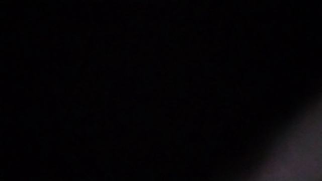 Летят перелётные птицы