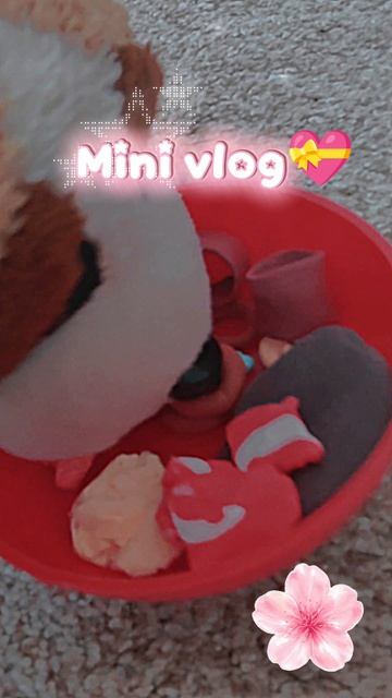 новое видео 🫶🏻💝 простите что так редко 🥲
небольшой влог с собаками 😚
посоветуйте что снимать ПЖ
