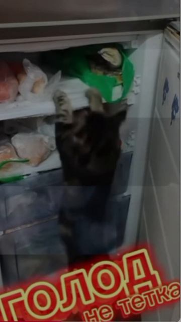 Удивительные животные !!! #юмор