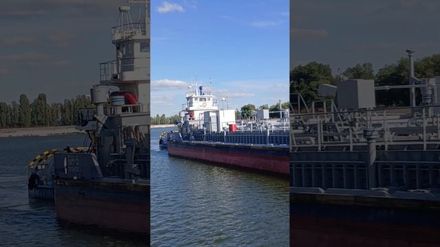 1000026161.mp4Волга.26.08.2026г.