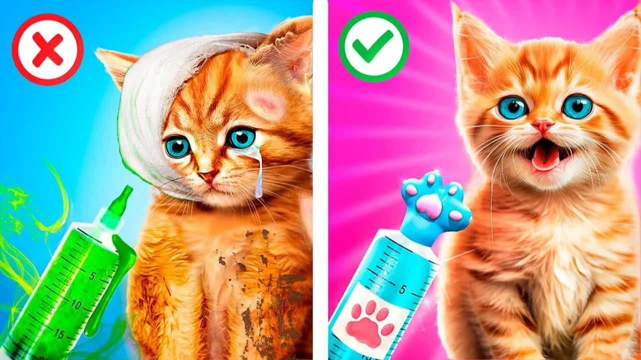Спасатели животных в больнице! Мы спасли маленьких котят