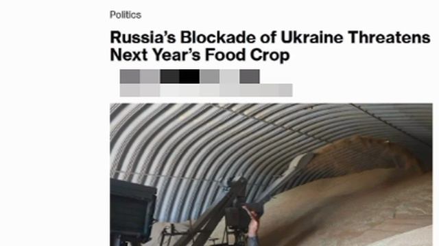 ‼️🇺🇦🌾 Зерновой кризис на Украине может затянуться и до 2027 года — Bloomberg
