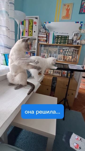 Послушные и непослушные певчие