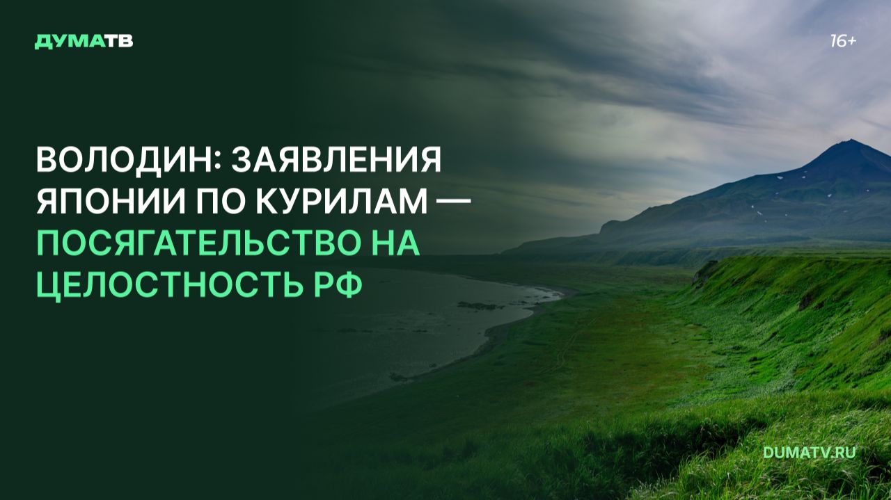 Володин: заявления Японии по Курилам — посягательство на целостность РФ