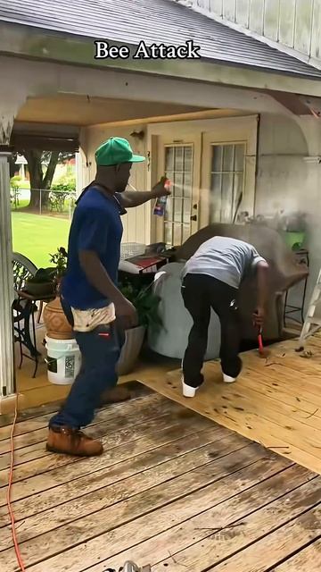 Bee Removal Fail_funny _bee _removal _fail(1080P_HD)