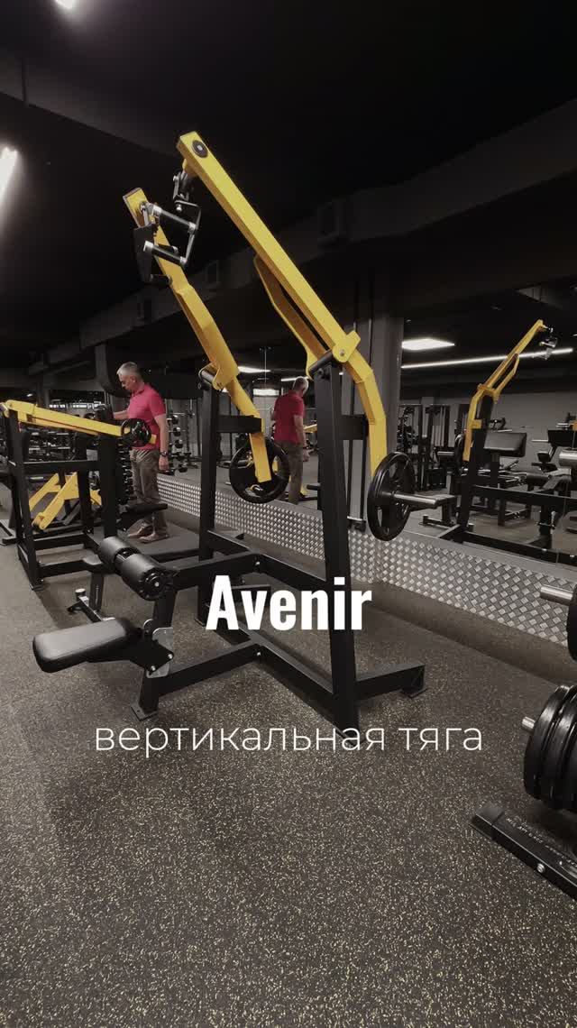 Вертикальная тяга с независимыми рычагами AV313-80