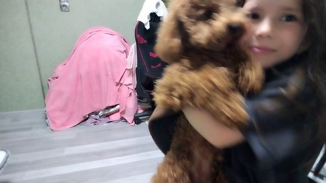1000007169.mp4