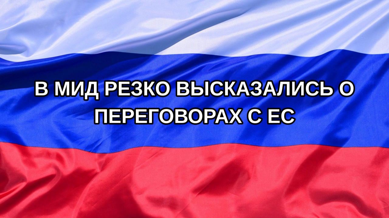|Н. РФ| В МИД резко высказались о переговорах с ЕС