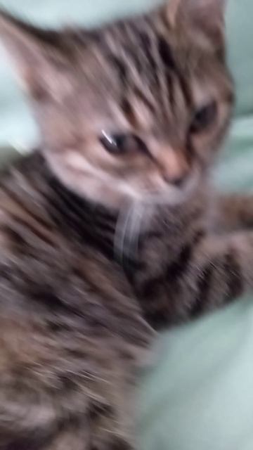 1000002009.mp4